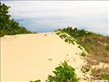 Playa Peñón Brusi - CAMUY